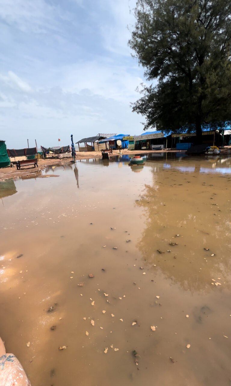 ಗಬ್ಬೆದ್ದು ನಾರುತ್ತಿರುವ ಸ್ಪೀಕರ್ ಯು.ಟಿ‌ ಖಾದರ್ ಕ್ಷೇತ್ರದ ಬೀಚ್: ಹೇಳುವವರಿಲ್ಲ ಕೇಳುವವರಿಲ್ಲ